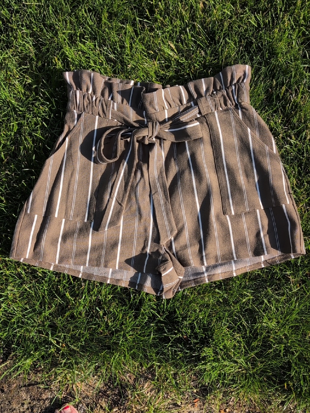 EXPRESS Women's Brown Striped Paperbag Waist Shorts